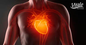 salud-cardiovascular